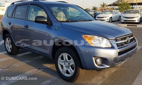Buy Import Toyota RAV4 Blue Car in Import - Dubai in Andijon Buy Import Toyota RAV4 Blue Car in Import - Dubai in Andijon