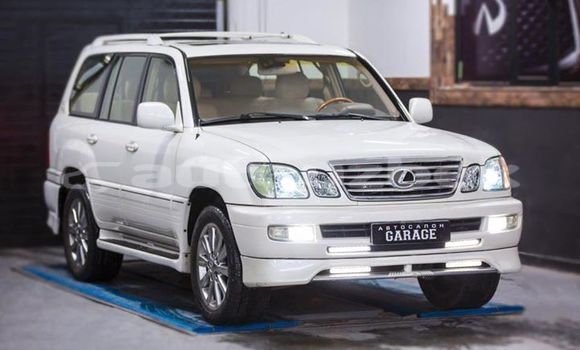 Buy Used Lexus LX White Car in Tashkent in Toskent