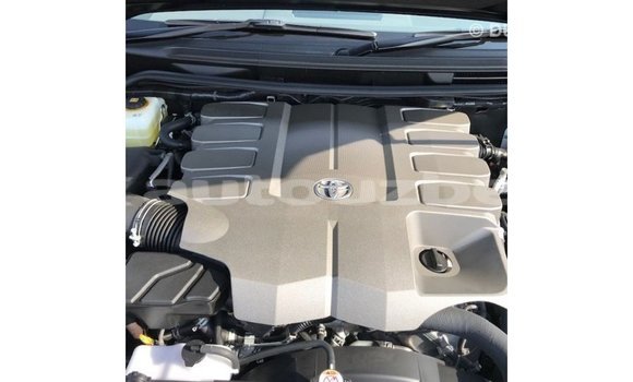 Buy Import Toyota Land Cruiser Black Car in Import - Dubai in Andijon Buy Import Toyota Land Cruiser Black Car in Import - Dubai in Andijon