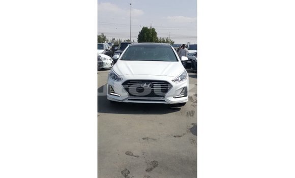 Buy Import Hyundai Sonata White Car in Import - Dubai in Andijon Buy Import Hyundai Sonata White Car in Import - Dubai in Andijon