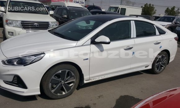 Buy Import Hyundai Sonata White Car in Import - Dubai in Andijon Buy Import Hyundai Sonata White Car in Import - Dubai in Andijon
