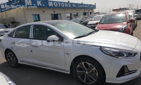 Buy Import Hyundai Sonata White Car in Import - Dubai in Andijon Buy Import Hyundai Sonata White Car in Import - Dubai in Andijon