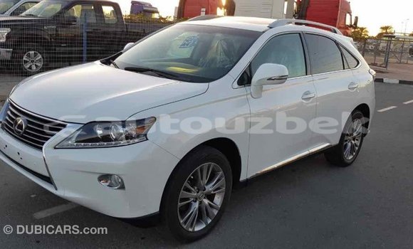 Buy Import Lexus RX 350 White Car in Import - Dubai in Andijon Buy Import Lexus RX 350 White Car in Import - Dubai in Andijon