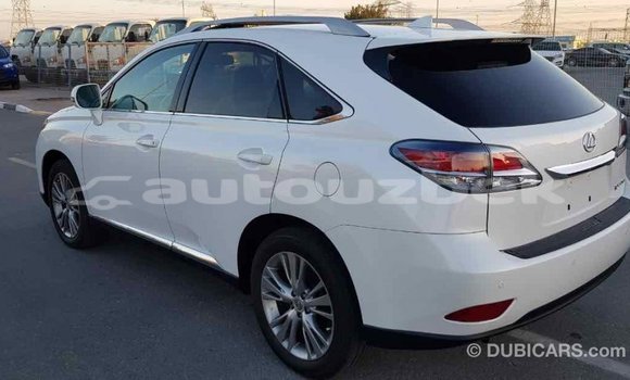 Buy Import Lexus RX 350 White Car in Import - Dubai in Andijon Buy Import Lexus RX 350 White Car in Import - Dubai in Andijon