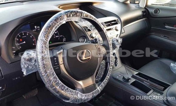 Buy Import Lexus RX 350 White Car in Import - Dubai in Andijon Buy Import Lexus RX 350 White Car in Import - Dubai in Andijon