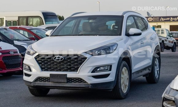 Buy Import Hyundai Tucson White Car in Import - Dubai in Andijon Buy Import Hyundai Tucson White Car in Import - Dubai in Andijon