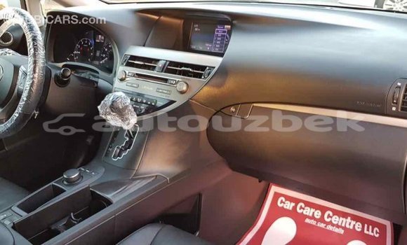 Buy Import Lexus RX 350 White Car in Import - Dubai in Andijon Buy Import Lexus RX 350 White Car in Import - Dubai in Andijon