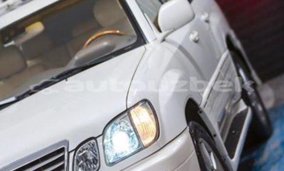 Buy Used Lexus LX White Car in Tashkent in Toskent Buy Used Lexus LX White Car in Tashkent in Toskent