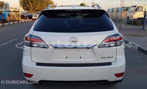 Buy Import Lexus RX 350 White Car in Import - Dubai in Andijon Buy Import Lexus RX 350 White Car in Import - Dubai in Andijon