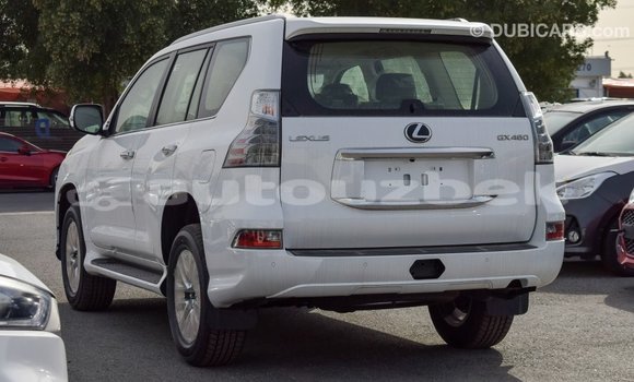 Buy Import Lexus GX White Car in Import - Dubai in Andijon Buy Import Lexus GX White Car in Import - Dubai in Andijon