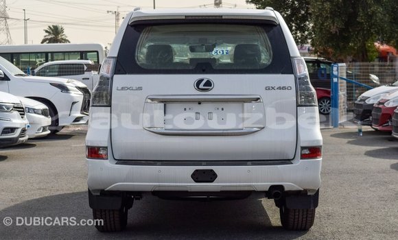 Buy Import Lexus GX White Car in Import - Dubai in Andijon Buy Import Lexus GX White Car in Import - Dubai in Andijon