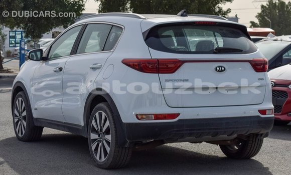 Buy Import Kia Sportage White Car in Import - Dubai in Andijon Buy Import Kia Sportage White Car in Import - Dubai in Andijon