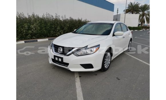Buy Import Nissan Altima White Car in Import - Dubai in Andijon Buy Import Nissan Altima White Car in Import - Dubai in Andijon