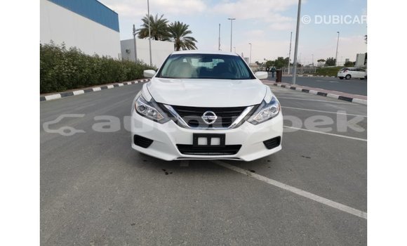 Buy Import Nissan Altima White Car in Import - Dubai in Andijon Buy Import Nissan Altima White Car in Import - Dubai in Andijon