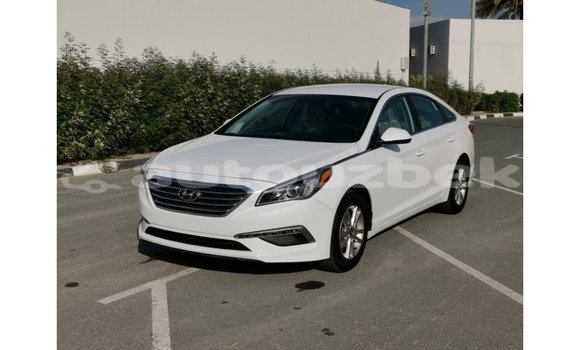 Buy Import Hyundai Sonata White Car in Import - Dubai in Andijon Buy Import Hyundai Sonata White Car in Import - Dubai in Andijon