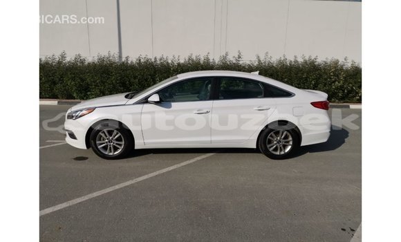 Buy Import Hyundai Sonata White Car in Import - Dubai in Andijon Buy Import Hyundai Sonata White Car in Import - Dubai in Andijon