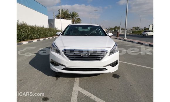 Buy Import Hyundai Sonata White Car in Import - Dubai in Andijon Buy Import Hyundai Sonata White Car in Import - Dubai in Andijon