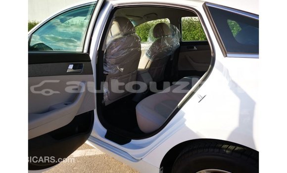 Buy Import Hyundai Sonata White Car in Import - Dubai in Andijon Buy Import Hyundai Sonata White Car in Import - Dubai in Andijon