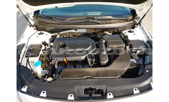 Buy Import Hyundai Sonata White Car in Import - Dubai in Andijon Buy Import Hyundai Sonata White Car in Import - Dubai in Andijon