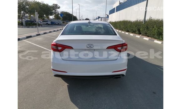 Buy Import Hyundai Sonata White Car in Import - Dubai in Andijon Buy Import Hyundai Sonata White Car in Import - Dubai in Andijon