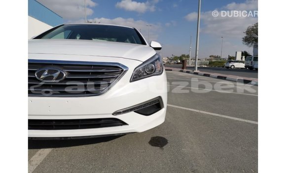 Buy Import Hyundai Sonata White Car in Import - Dubai in Andijon Buy Import Hyundai Sonata White Car in Import - Dubai in Andijon