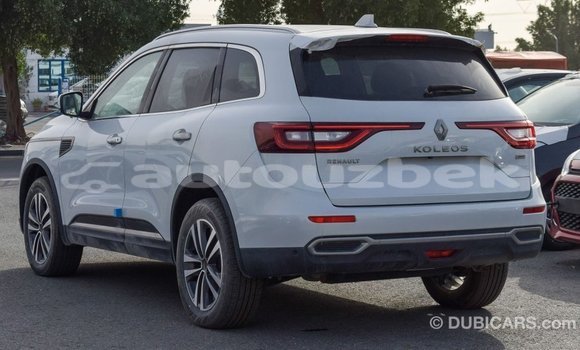 Buy Import Renault Koleos White Car in Import - Dubai in Andijon Buy Import Renault Koleos White Car in Import - Dubai in Andijon