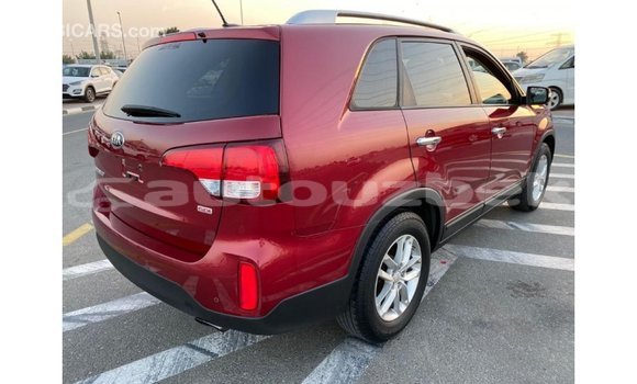 Buy Import Kia Sorento Red Car in Import - Dubai in Andijon Buy Import Kia Sorento Red Car in Import - Dubai in Andijon