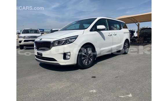 Buy Import Kia Carnival White Car in Import - Dubai in Andijon Buy Import Kia Carnival White Car in Import - Dubai in Andijon