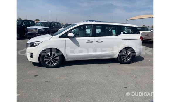 Buy Import Kia Carnival White Car in Import - Dubai in Andijon Buy Import Kia Carnival White Car in Import - Dubai in Andijon