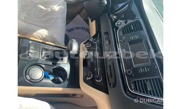 Buy Import Kia Carnival White Car in Import - Dubai in Andijon Buy Import Kia Carnival White Car in Import - Dubai in Andijon