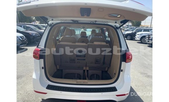 Buy Import Kia Carnival White Car in Import - Dubai in Andijon Buy Import Kia Carnival White Car in Import - Dubai in Andijon