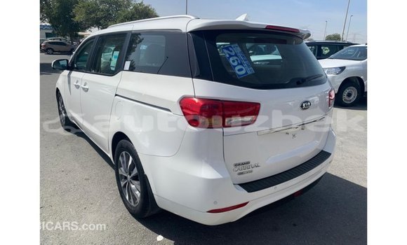 Buy Import Kia Carnival White Car in Import - Dubai in Andijon Buy Import Kia Carnival White Car in Import - Dubai in Andijon