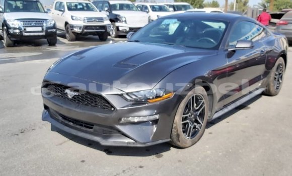 Buy Import Ford Mustang Other Car in Import - Dubai in Andijon Buy Import Ford Mustang Other Car in Import - Dubai in Andijon