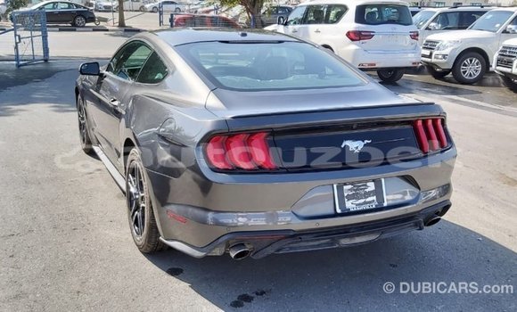 Buy Import Ford Mustang Other Car in Import - Dubai in Andijon Buy Import Ford Mustang Other Car in Import - Dubai in Andijon