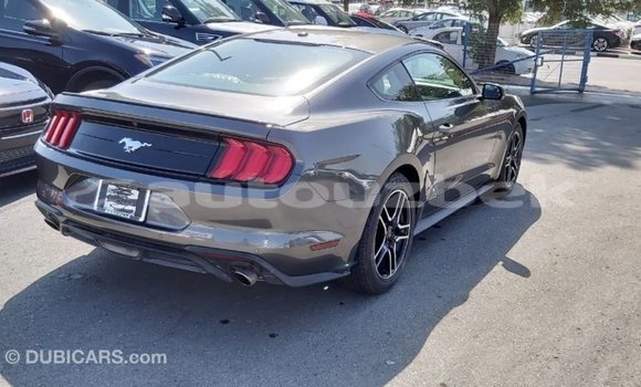 Buy Import Ford Mustang Other Car in Import - Dubai in Andijon Buy Import Ford Mustang Other Car in Import - Dubai in Andijon