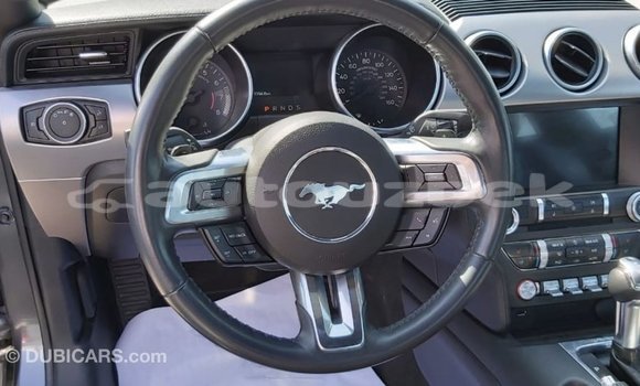 Buy Import Ford Mustang Other Car in Import - Dubai in Andijon Buy Import Ford Mustang Other Car in Import - Dubai in Andijon