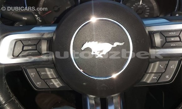 Buy Import Ford Mustang Red Car in Import - Dubai in Andijon Buy Import Ford Mustang Red Car in Import - Dubai in Andijon