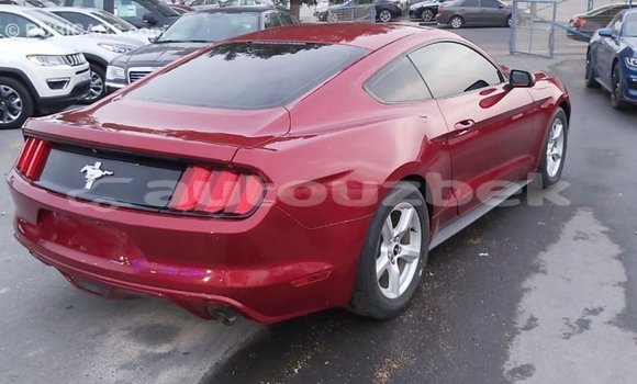 Buy Import Ford Mustang Red Car in Import - Dubai in Andijon Buy Import Ford Mustang Red Car in Import - Dubai in Andijon