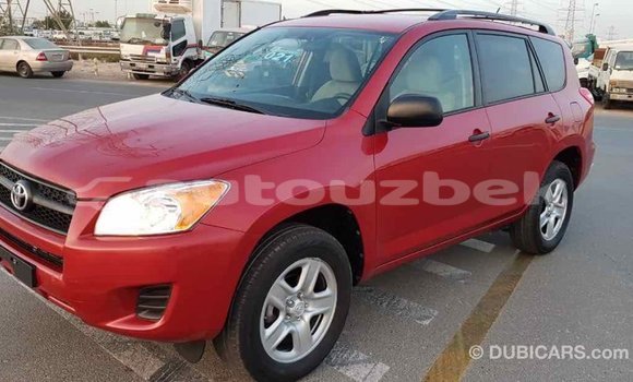 Buy Import Toyota RAV4 Red Car in Import - Dubai in Andijon Buy Import Toyota RAV4 Red Car in Import - Dubai in Andijon