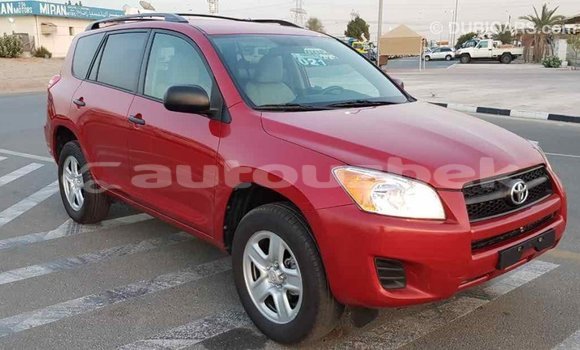 Buy Import Toyota RAV4 Red Car in Import - Dubai in Andijon Buy Import Toyota RAV4 Red Car in Import - Dubai in Andijon