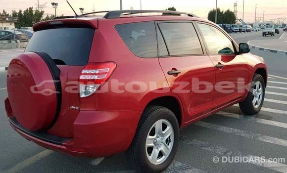 Buy Import Toyota RAV4 Red Car in Import - Dubai in Andijon Buy Import Toyota RAV4 Red Car in Import - Dubai in Andijon