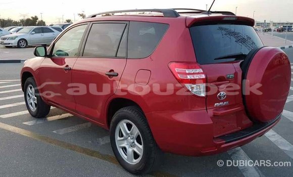Buy Import Toyota RAV4 Red Car in Import - Dubai in Andijon Buy Import Toyota RAV4 Red Car in Import - Dubai in Andijon
