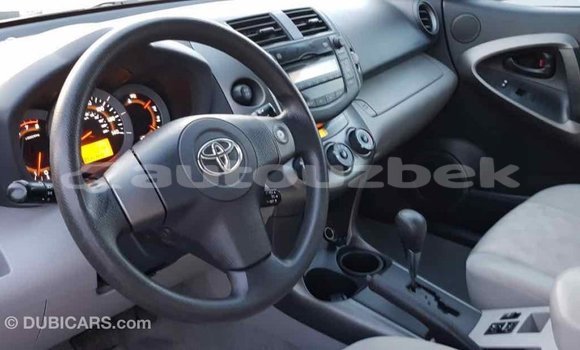 Buy Import Toyota RAV4 Red Car in Import - Dubai in Andijon Buy Import Toyota RAV4 Red Car in Import - Dubai in Andijon