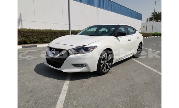 Buy Import Nissan Maxima White Car in Import - Dubai in Andijon Buy Import Nissan Maxima White Car in Import - Dubai in Andijon