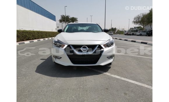 Buy Import Nissan Maxima White Car in Import - Dubai in Andijon Buy Import Nissan Maxima White Car in Import - Dubai in Andijon