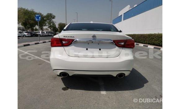 Buy Import Nissan Maxima White Car in Import - Dubai in Andijon Buy Import Nissan Maxima White Car in Import - Dubai in Andijon