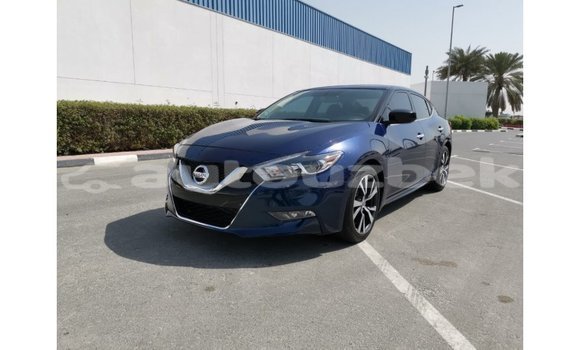 Buy Import Nissan Maxima Blue Car in Import - Dubai in Andijon Buy Import Nissan Maxima Blue Car in Import - Dubai in Andijon