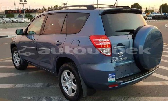 Buy Import Toyota RAV4 Blue Car in Import - Dubai in Andijon Buy Import Toyota RAV4 Blue Car in Import - Dubai in Andijon