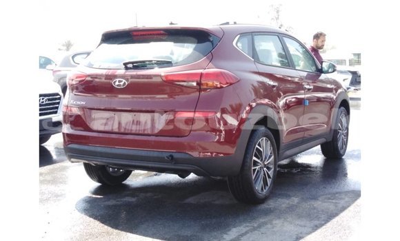 Buy Import Hyundai Tucson Red Car in Import - Dubai in Andijon Buy Import Hyundai Tucson Red Car in Import - Dubai in Andijon