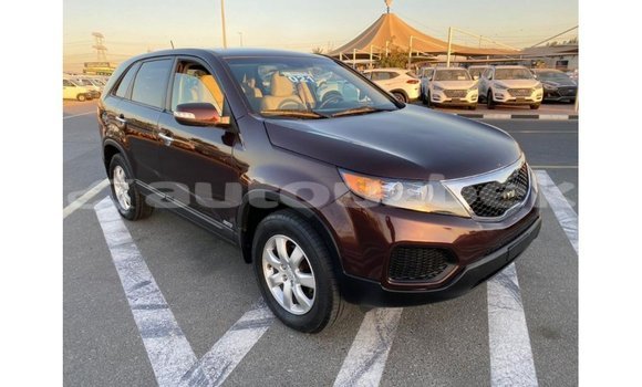 Buy Import Kia Sorento Brown Car in Import - Dubai in Andijon Buy Import Kia Sorento Brown Car in Import - Dubai in Andijon
